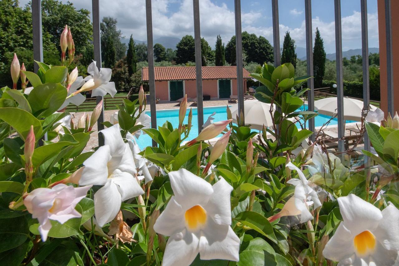 Relais Villa Isabel Pietrasanta Eksteriør bilde